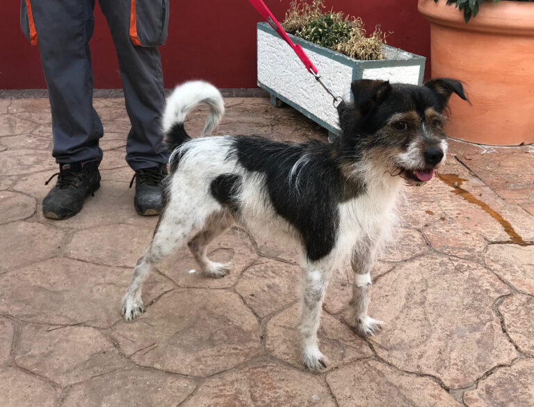 multimedia-foto54701-546-1