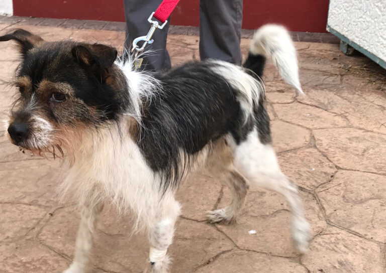 multimedia-foto54702-546-1