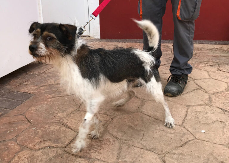 multimedia-foto54704-547-1