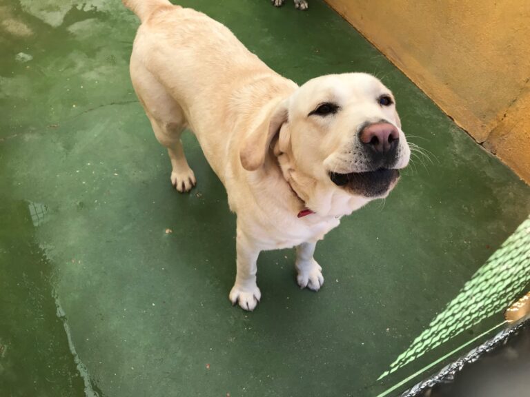 multimedia-foto54707-662-1