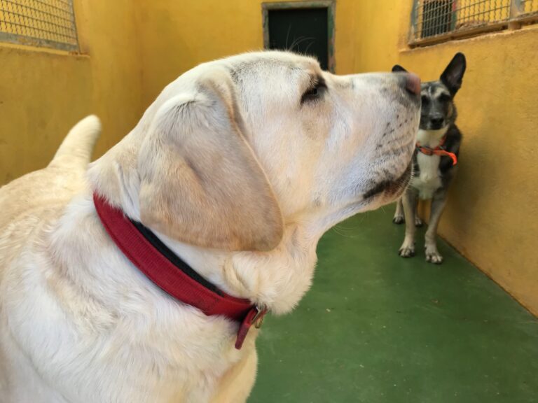 multimedia-foto54708-663-1