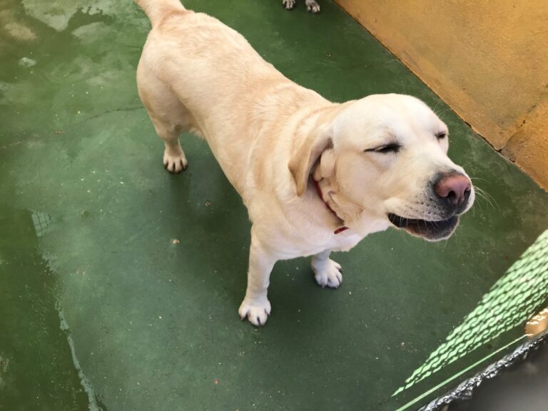 multimedia-foto54710-664-1