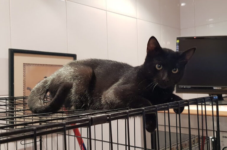 multimedia-foto54737-412-1