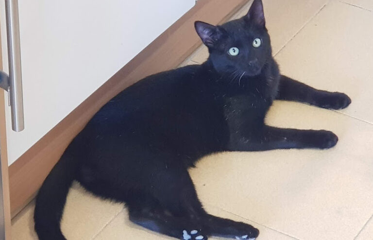 multimedia-foto54738-412-1