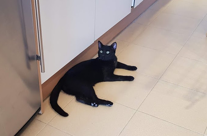 multimedia-foto54739-412-1