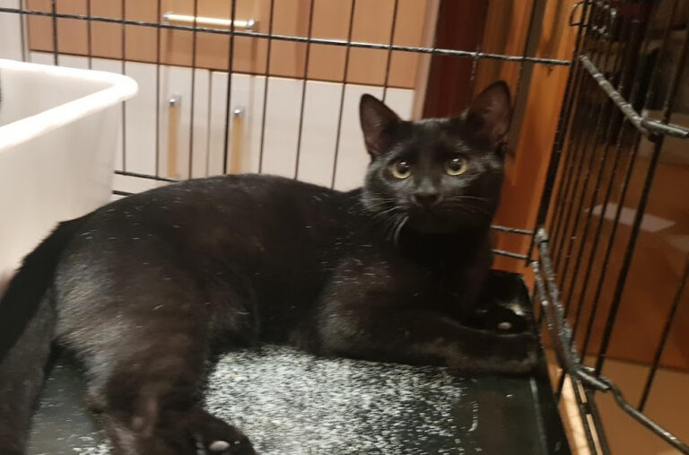 multimedia-foto54740-412-1