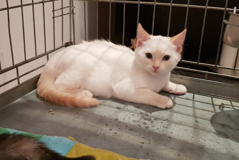 multimedia-foto54775-230-1