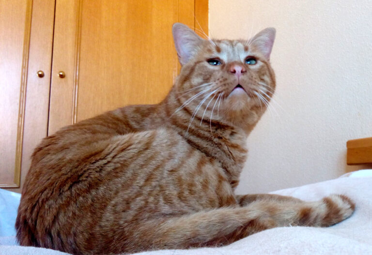 multimedia-foto54801-92-1