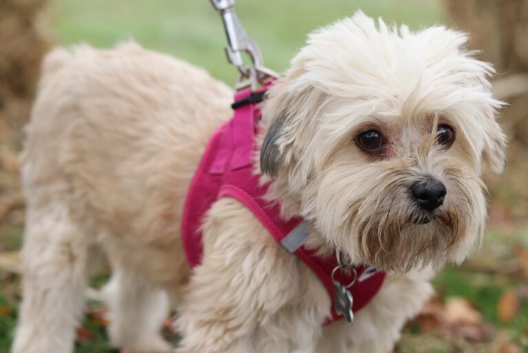 multimedia-foto54807-23-1