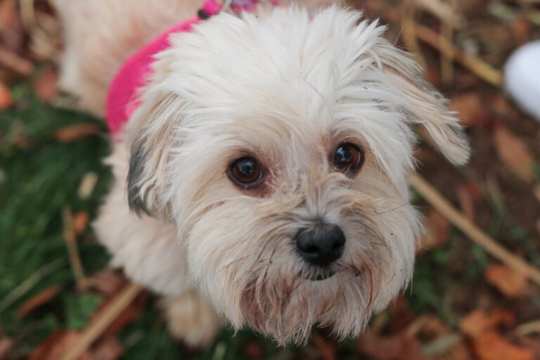 multimedia-foto54808-23-1