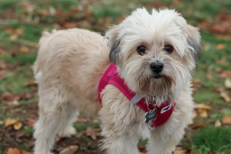 multimedia-foto54809-23-1