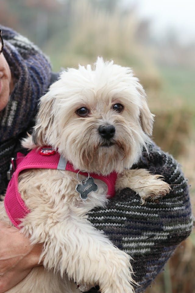 multimedia-foto54810-23-1