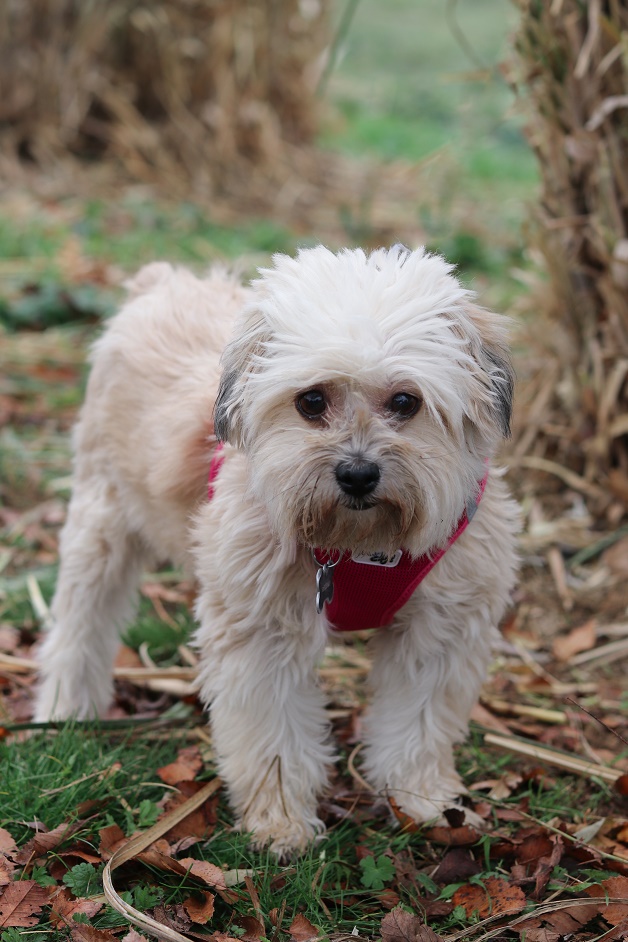 multimedia-foto54812-24-1