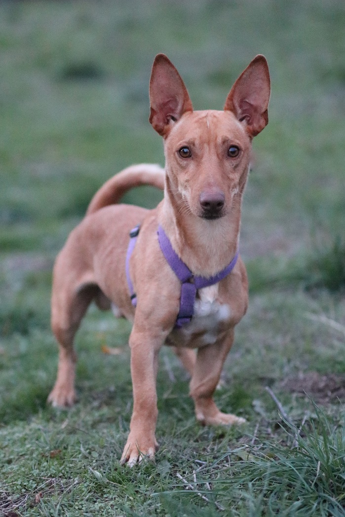 multimedia-foto54881-575-1