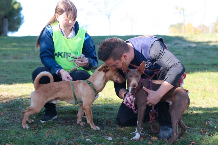 multimedia-foto54882-575-1