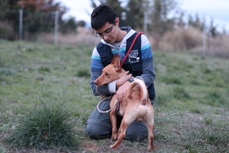 multimedia-foto54883-575-1