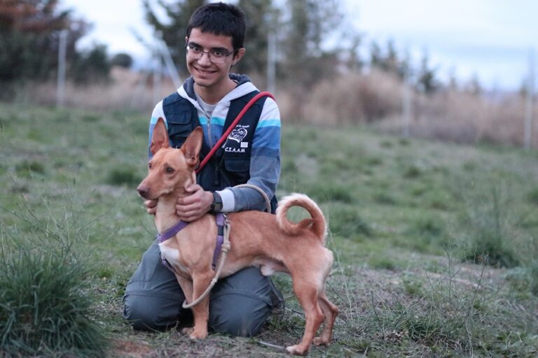 multimedia-foto54884-575-1