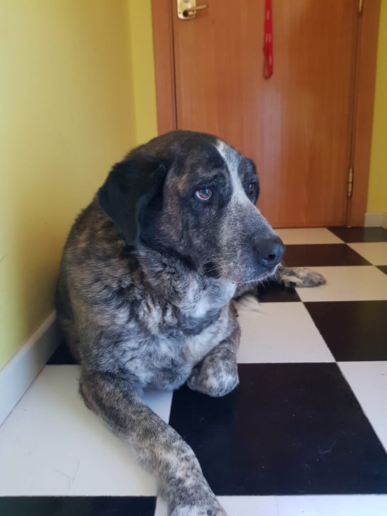 multimedia-foto54924-776-3