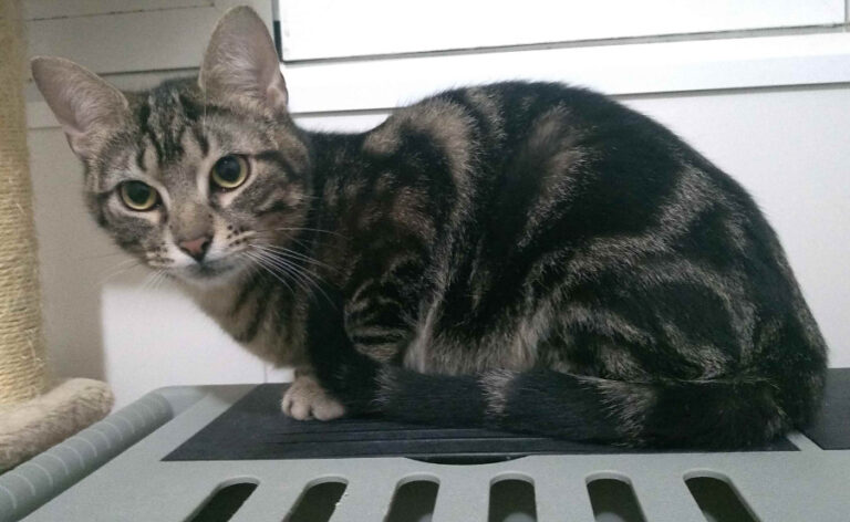 multimedia-foto54925-790-1