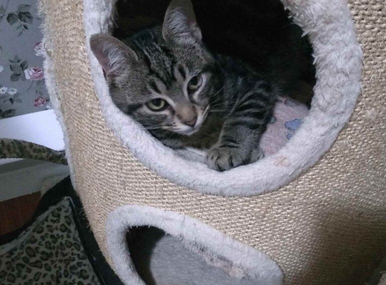 multimedia-foto54926-790-1