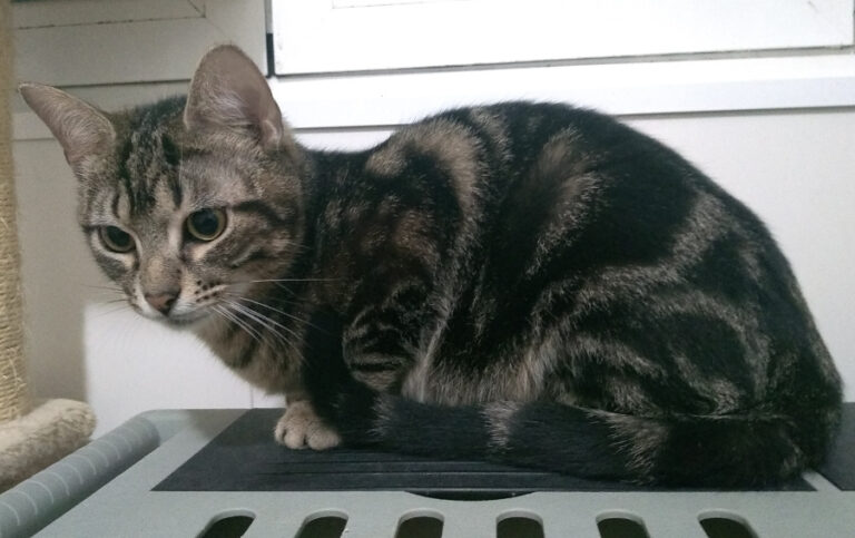 multimedia-foto54928-790-1