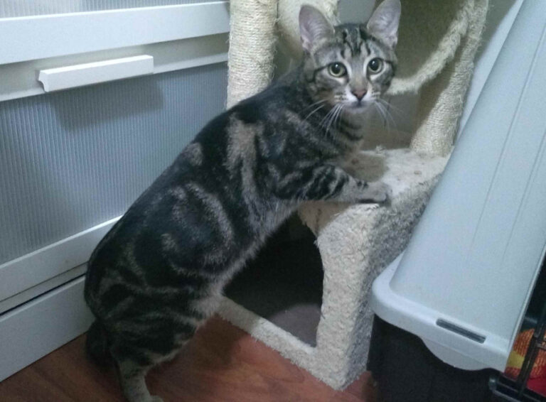 multimedia-foto54929-790-1