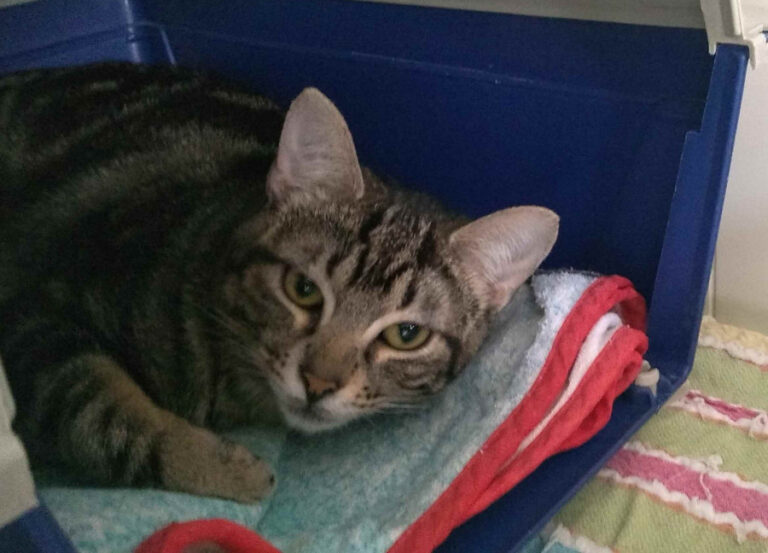 multimedia-foto54931-791-1