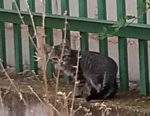 multimedia-foto54934-791-1