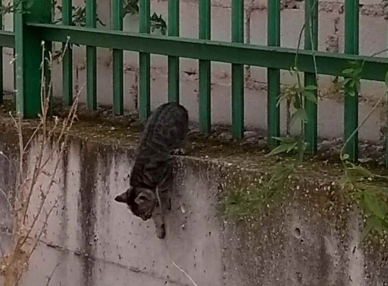 multimedia-foto54935-792-1