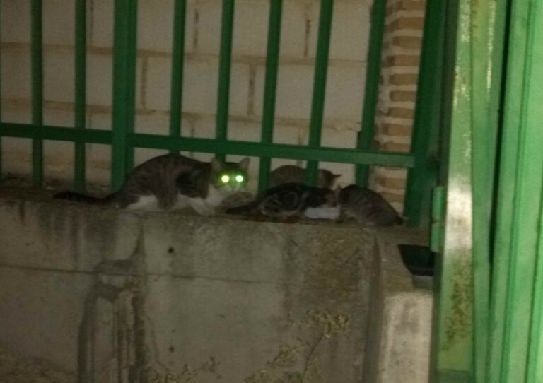 multimedia-foto54936-792-1