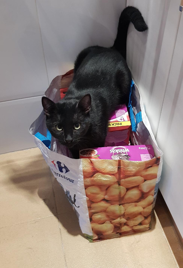 multimedia-foto54989-213-1