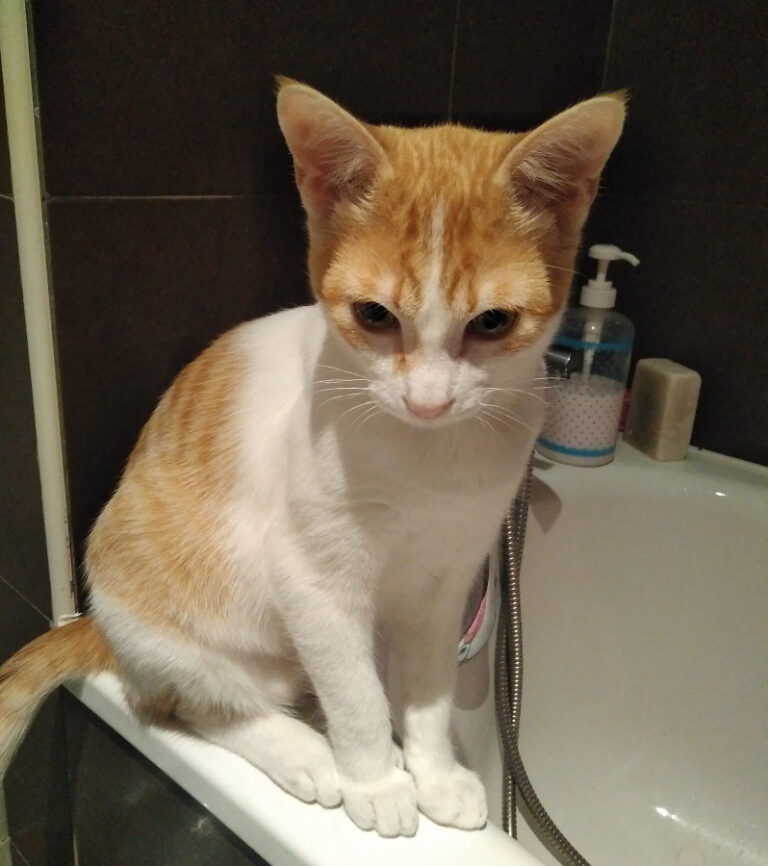 multimedia-foto54996-42-1