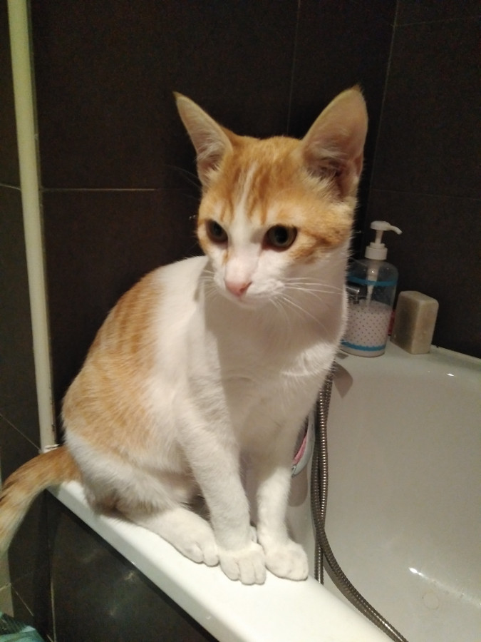 multimedia-foto54997-42-1