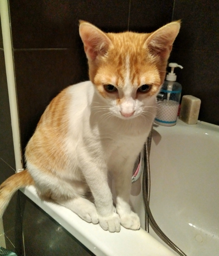 multimedia-foto54998-42-1