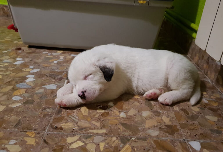 multimedia-foto55027-904-1