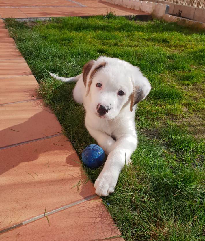 multimedia-foto55028-904-1