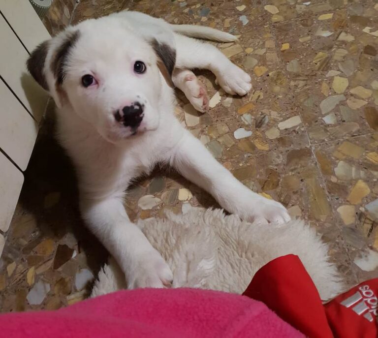 multimedia-foto55029-905-1