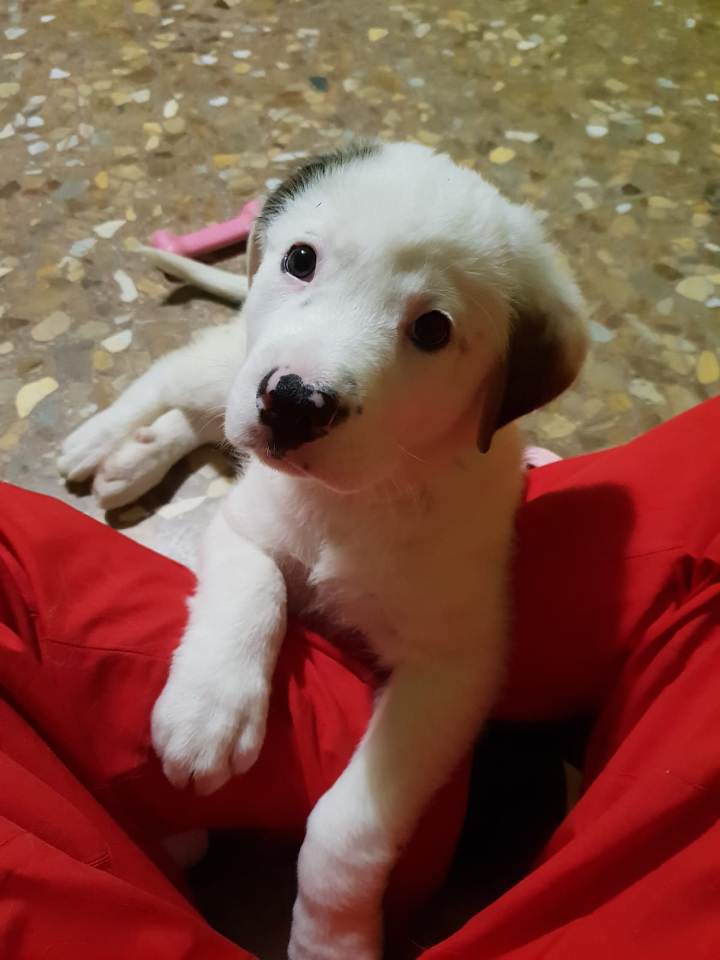 multimedia-foto55030-905-1