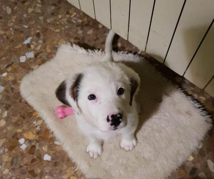 multimedia-foto55031-905-1