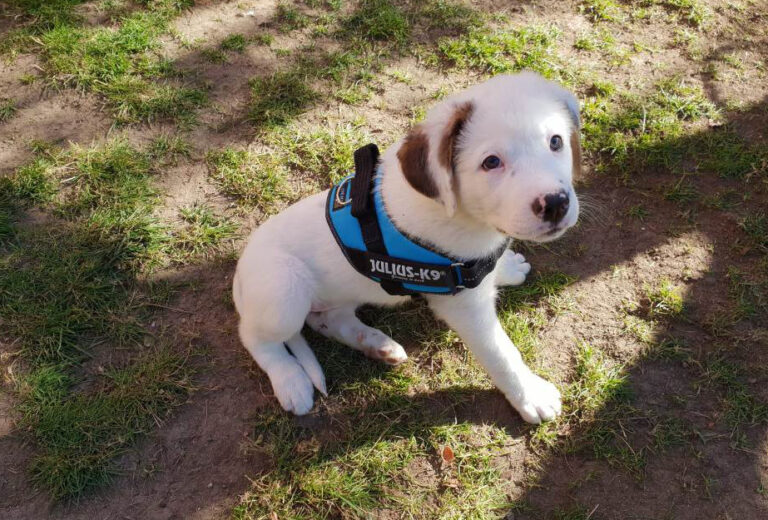 multimedia-foto55032-905-1