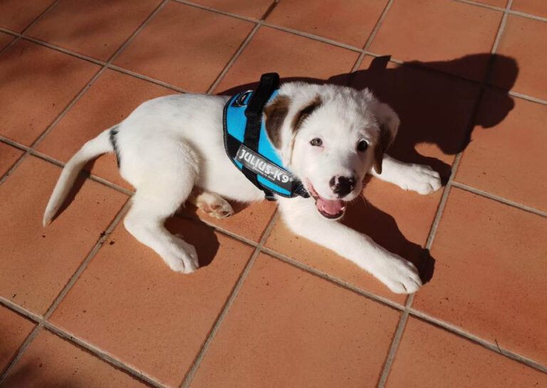 multimedia-foto55033-905-1