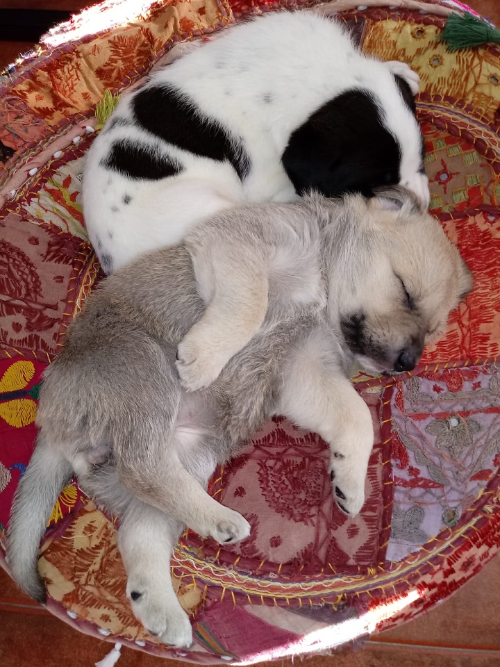 multimedia-foto55034-906-1