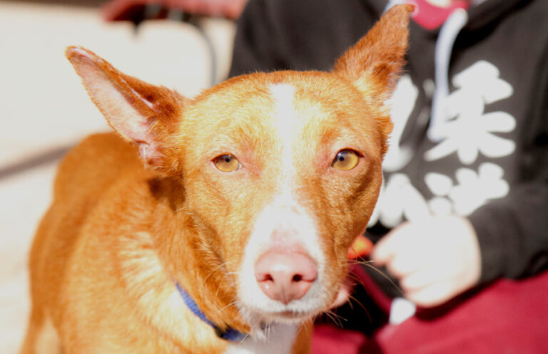 multimedia-foto55054-88-1