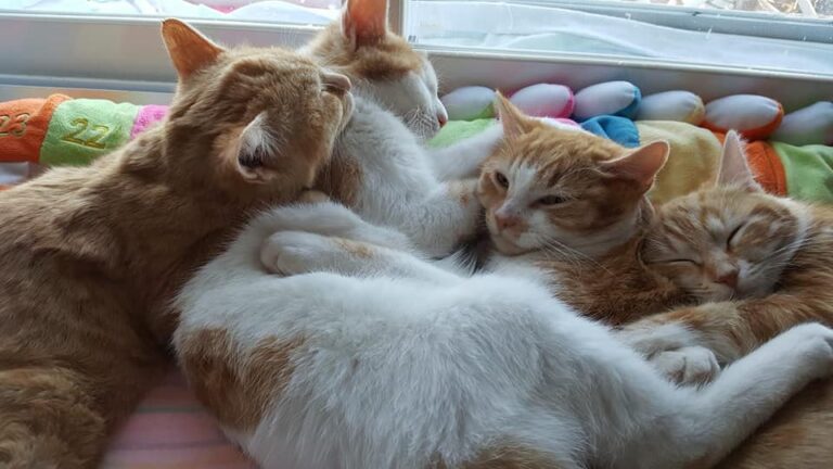 multimedia-foto55109-120-1