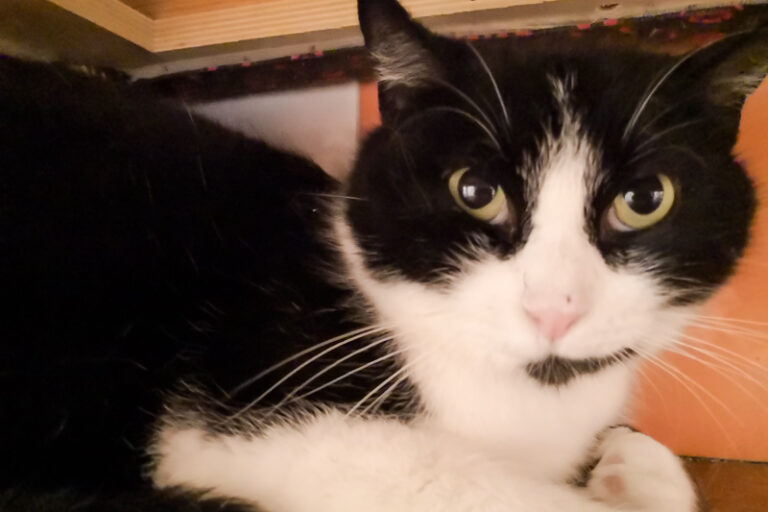 multimedia-foto55208-200-1