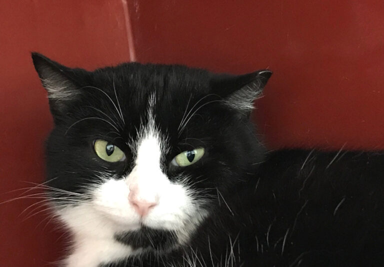 multimedia-foto55211-201-1