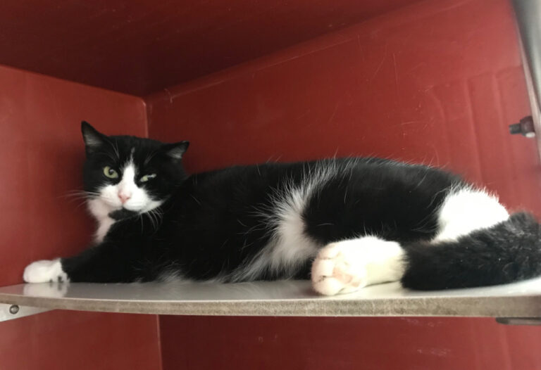 multimedia-foto55212-201-1