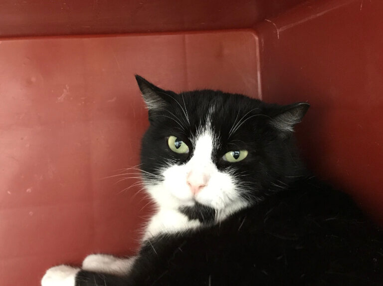 multimedia-foto55214-202-1