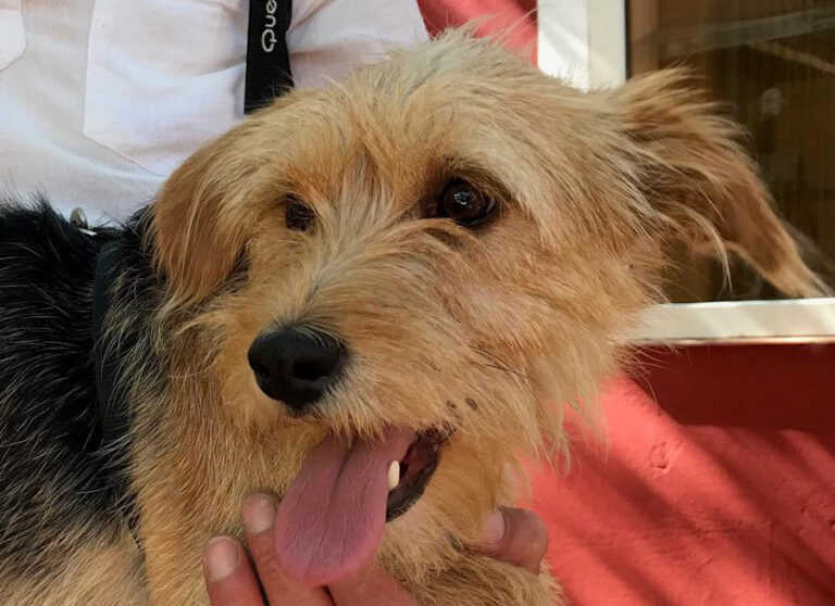 multimedia-foto55224-612-1