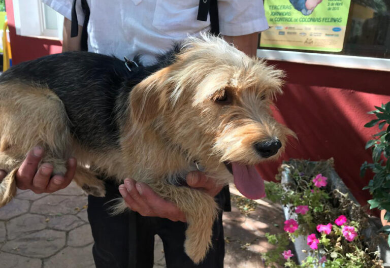 multimedia-foto55225-612-1